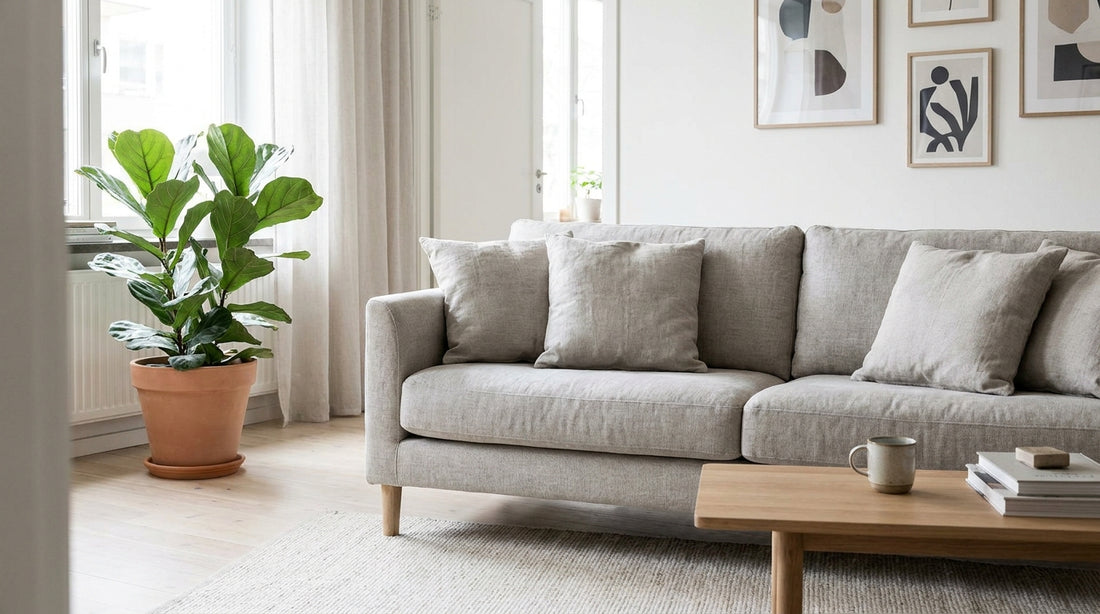 Sauberes helles Polstersofa in frischem Wohnzimmer